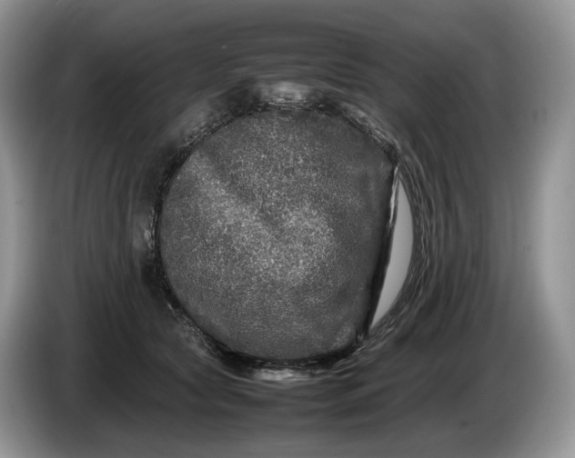 X0000086280561200704122049