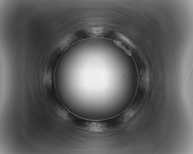 X0000086280562200704122049