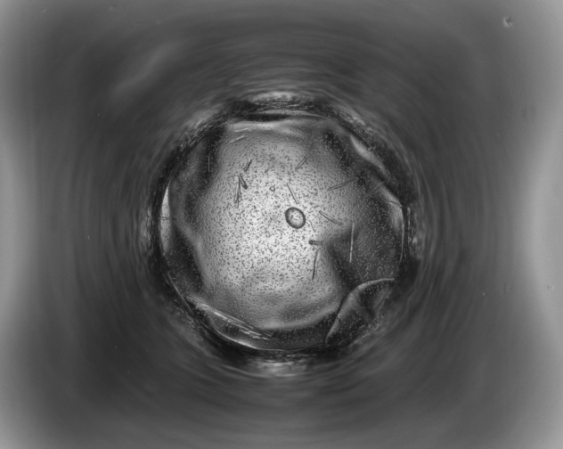 X0000086280563200704122049