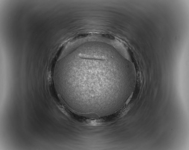 X0000086280564200704122049