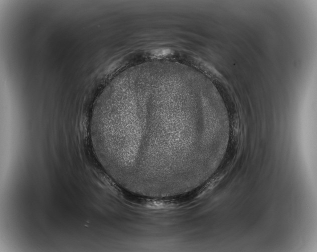 X0000086280565200704122049