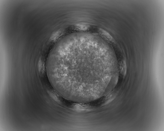 X0000086280568200704122049