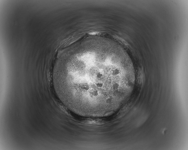 X0000086280569200704122049