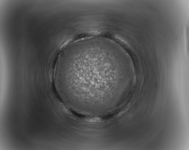 X0000086280576200704122049