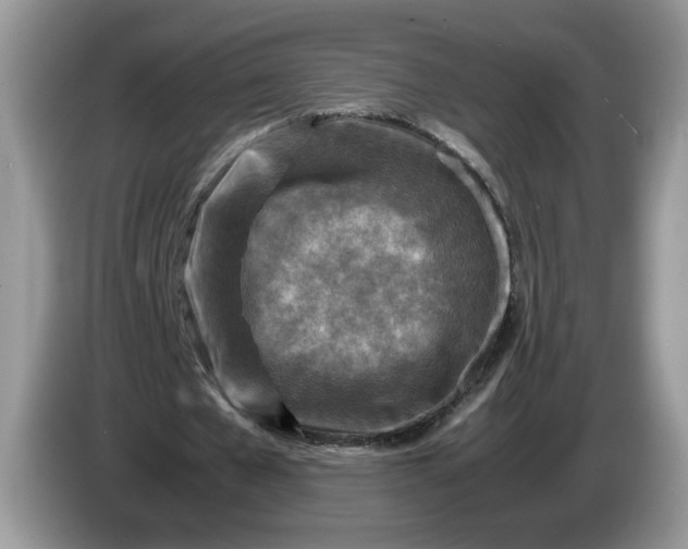 X0000086280577200704122049