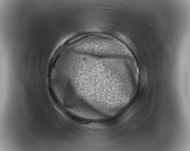 X0000086280578200704122049