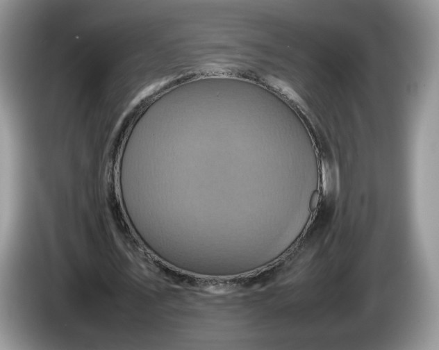 X0000086280579200704122049