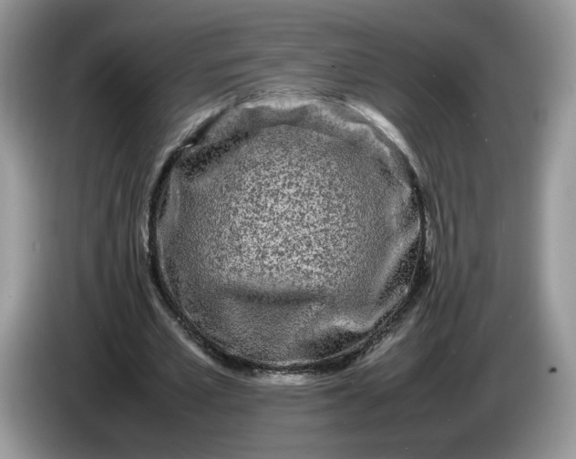 X0000086280581200704122049