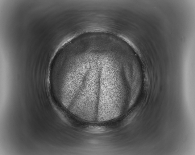 X0000086280582200704122049