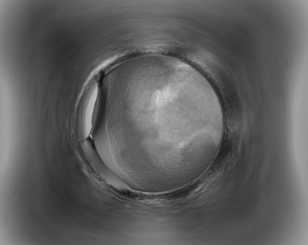 X0000086280583200704122049