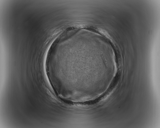 X0000086280585200704122049