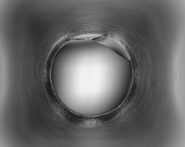 X0000086280587200704122049