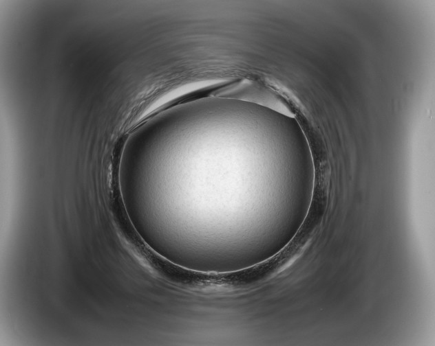 X0000086280589200704122049