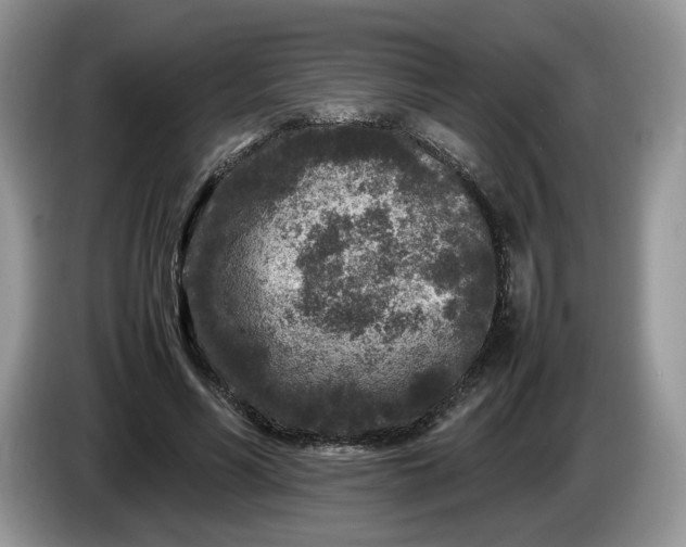 X0000086280590200704122049