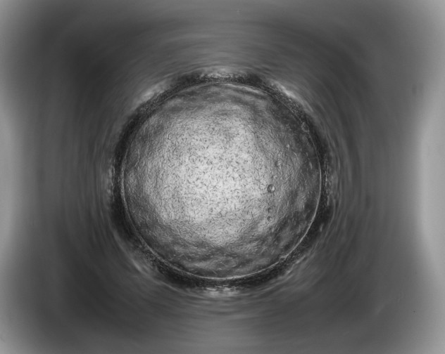 X0000086280591200704122049