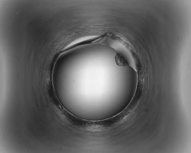 X0000086280593200704122049