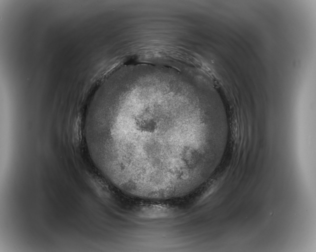 X0000086280594200704122049