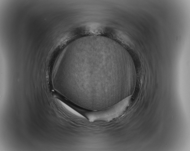 X0000086280595200704122049