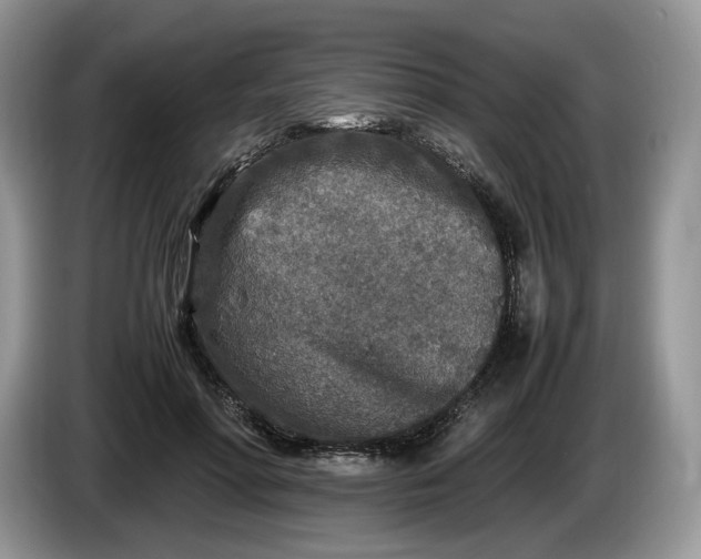 X0000086280598200704122048