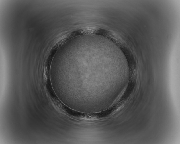 X0000086280599200704122048