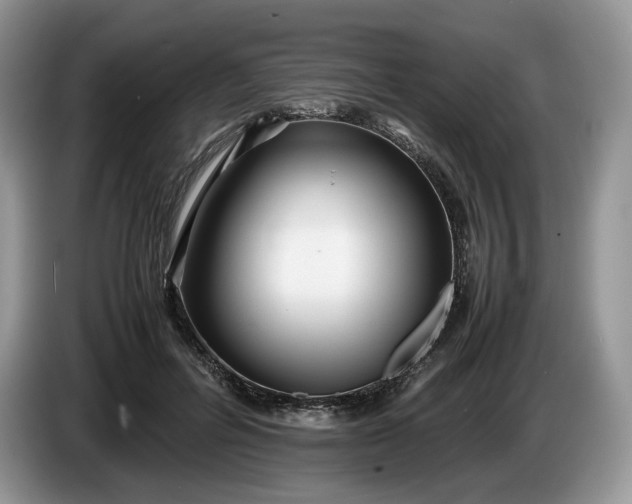 X0000086280600200704122048