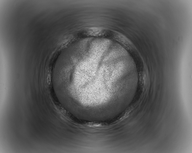 X0000086280602200704122048