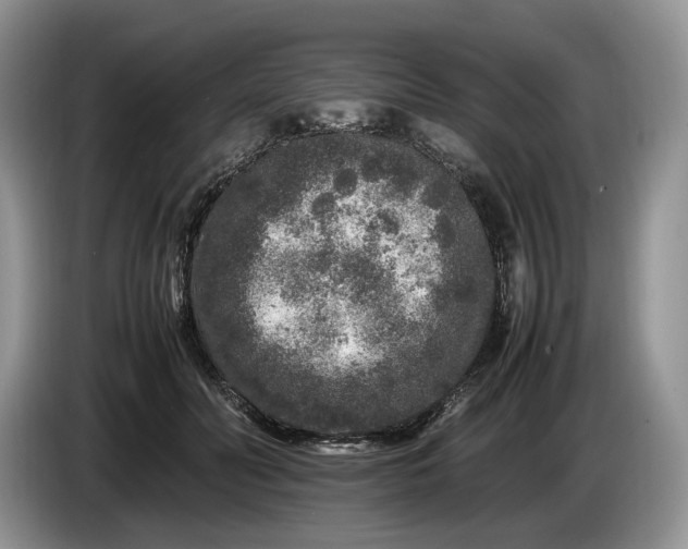 X0000086280606200704122048