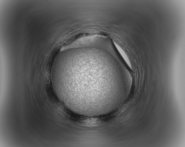 X0000086280609200704122048