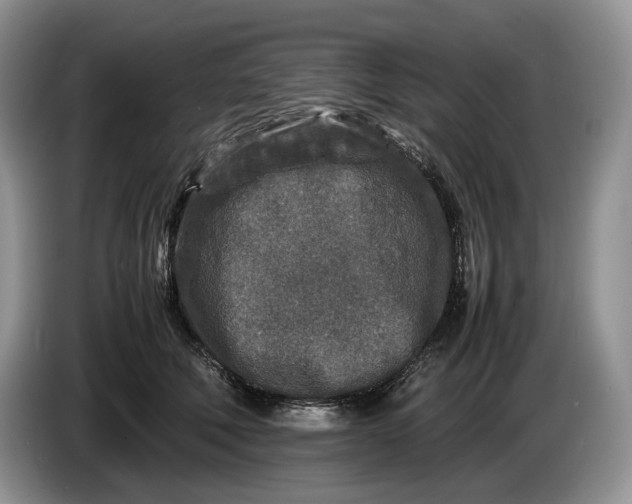 X0000086280610200704122048