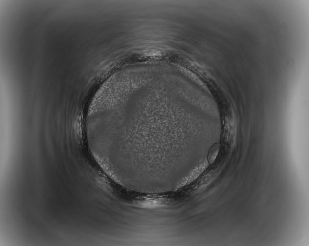 X0000086280612200704122048