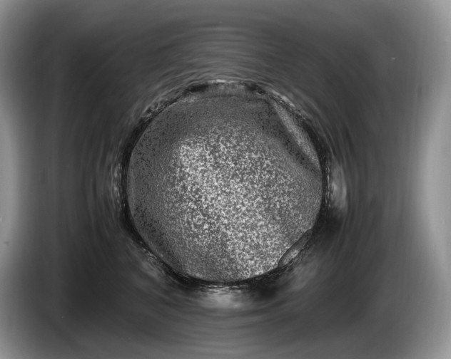 X0000086280616200704122048