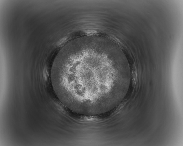 X0000086280618200704122048