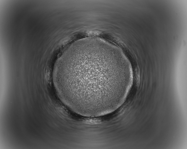 X0000086280619200704122048