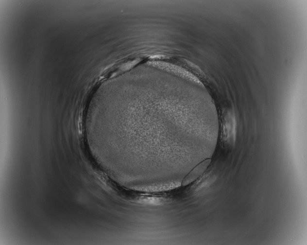 X0000086280620200704122048