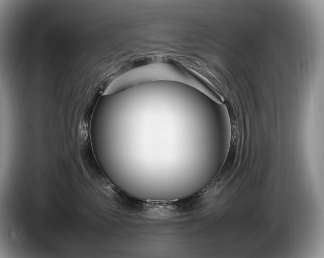 X0000086280621200704122048