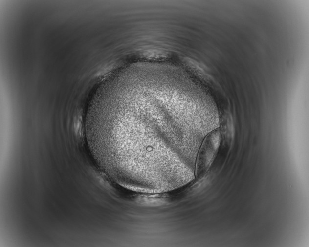 X0000086280622200704122048