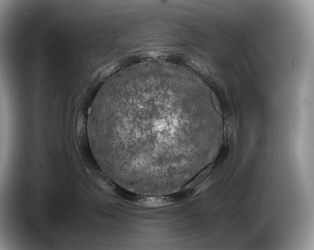 X0000086280623200704122048