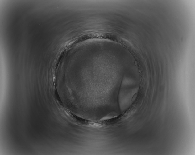 X0000086280624200704122048