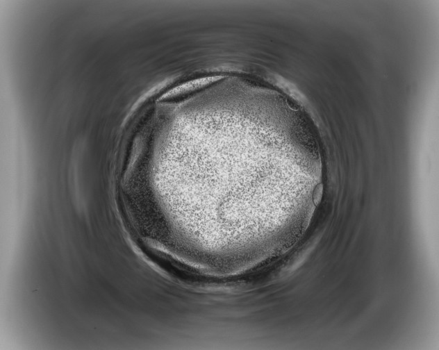 X0000086280625200704122048