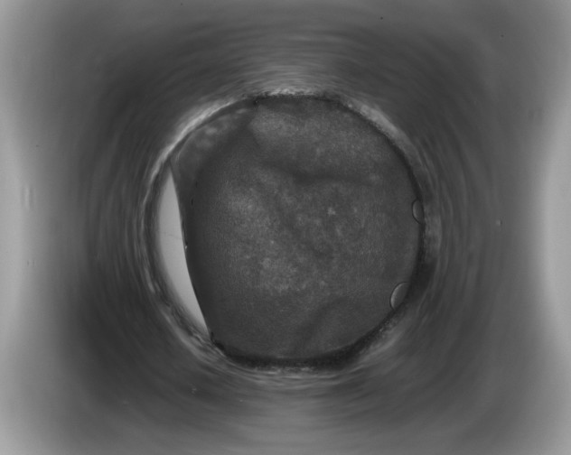 X0000086280626200704122048