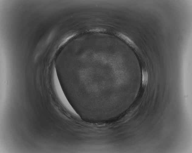 X0000086280627200704122048