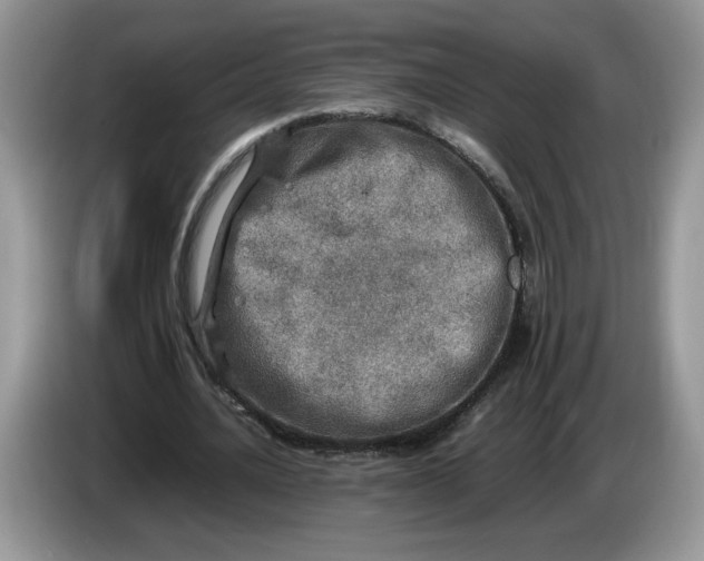 X0000086280628200704122048