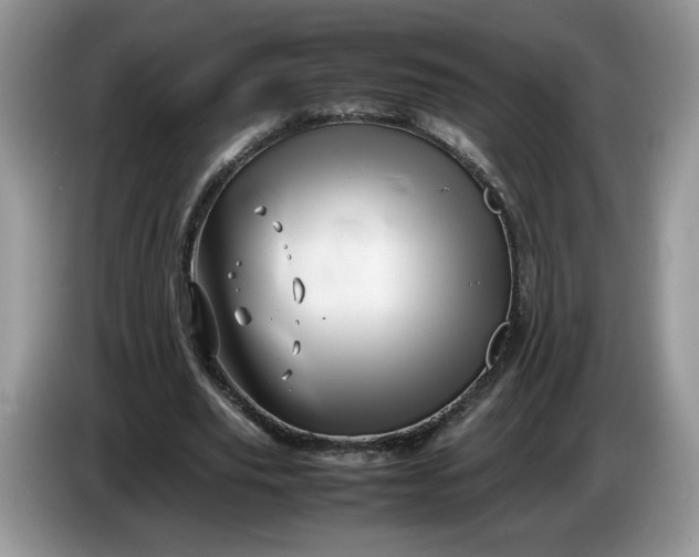 X0000086280629200704122048