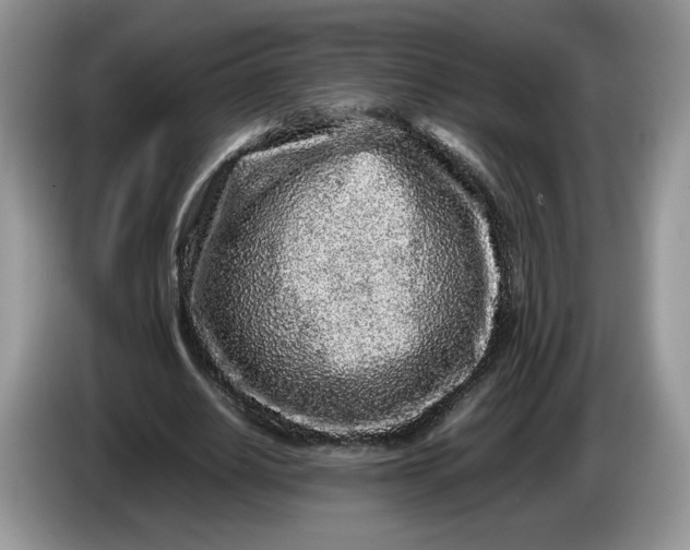 X0000086280630200704122048