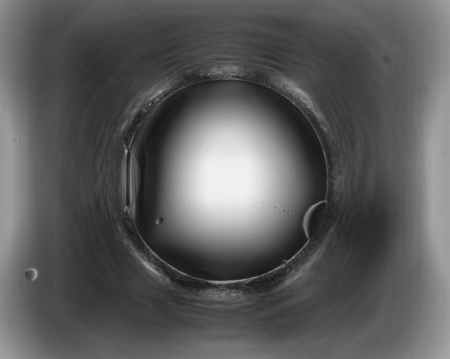 X0000086280633200704122048