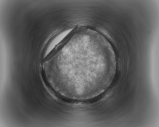 X0000086280634200704122048