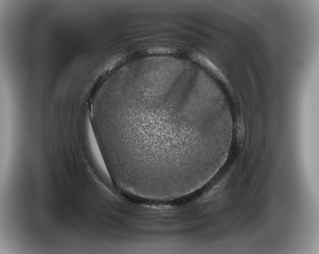 X0000086280637200704122048