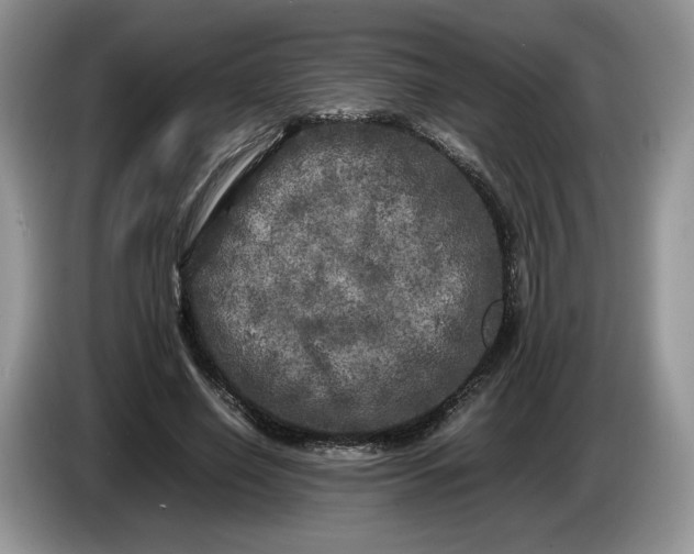 X0000086280638200704122048