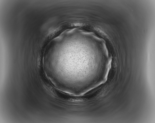 X0000086280639200704122048