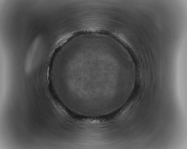 X0000086280640200704122048